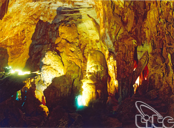 Nouveaux circuits au parc national de phong nha-ke bang